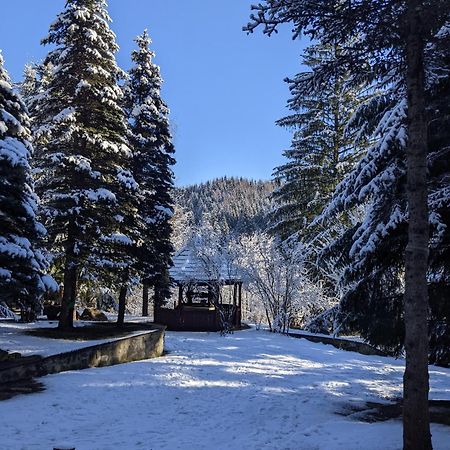 Cabana Serenade Sucevita Luaran gambar